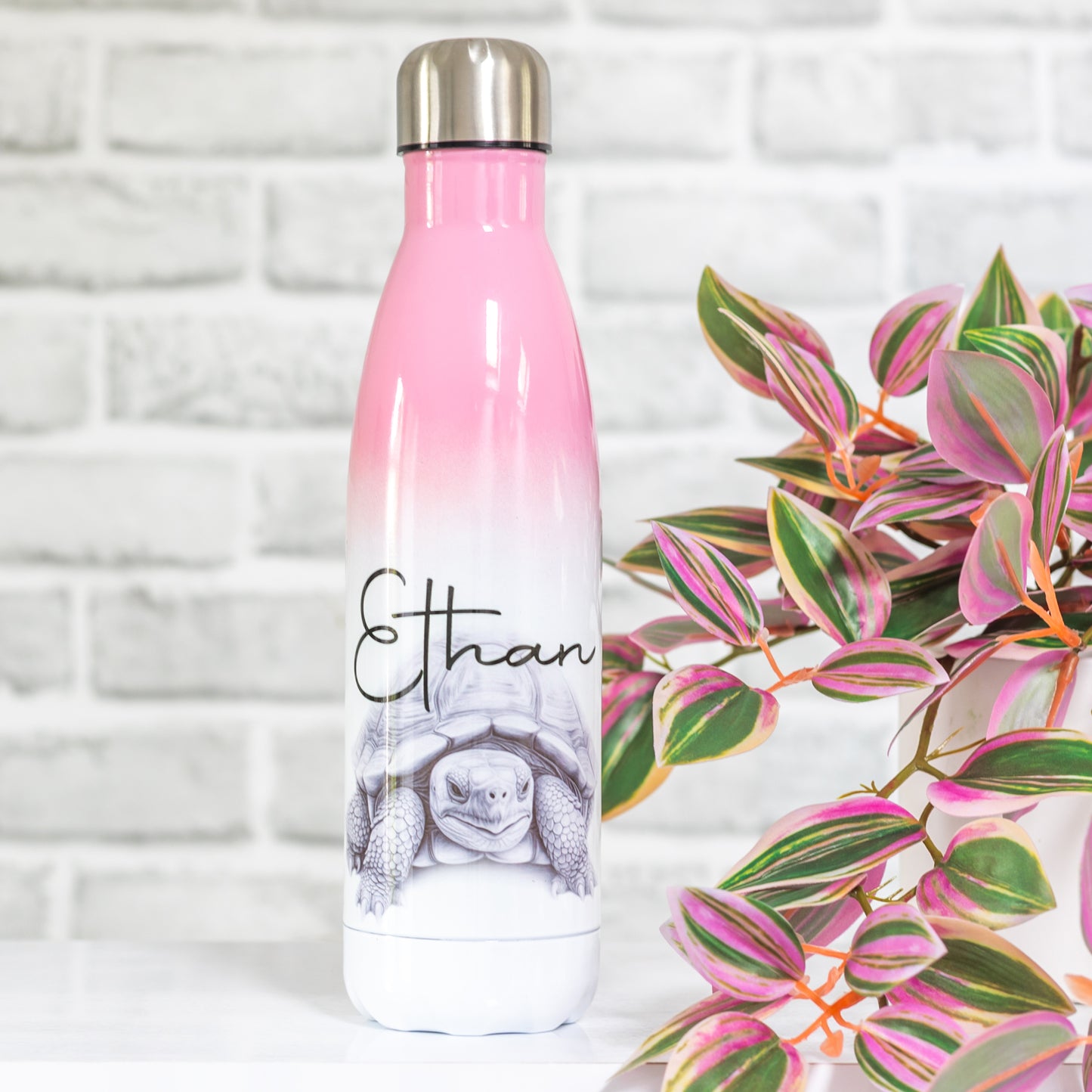Tortoise Water Bottle l Personalised Tortoise Gift