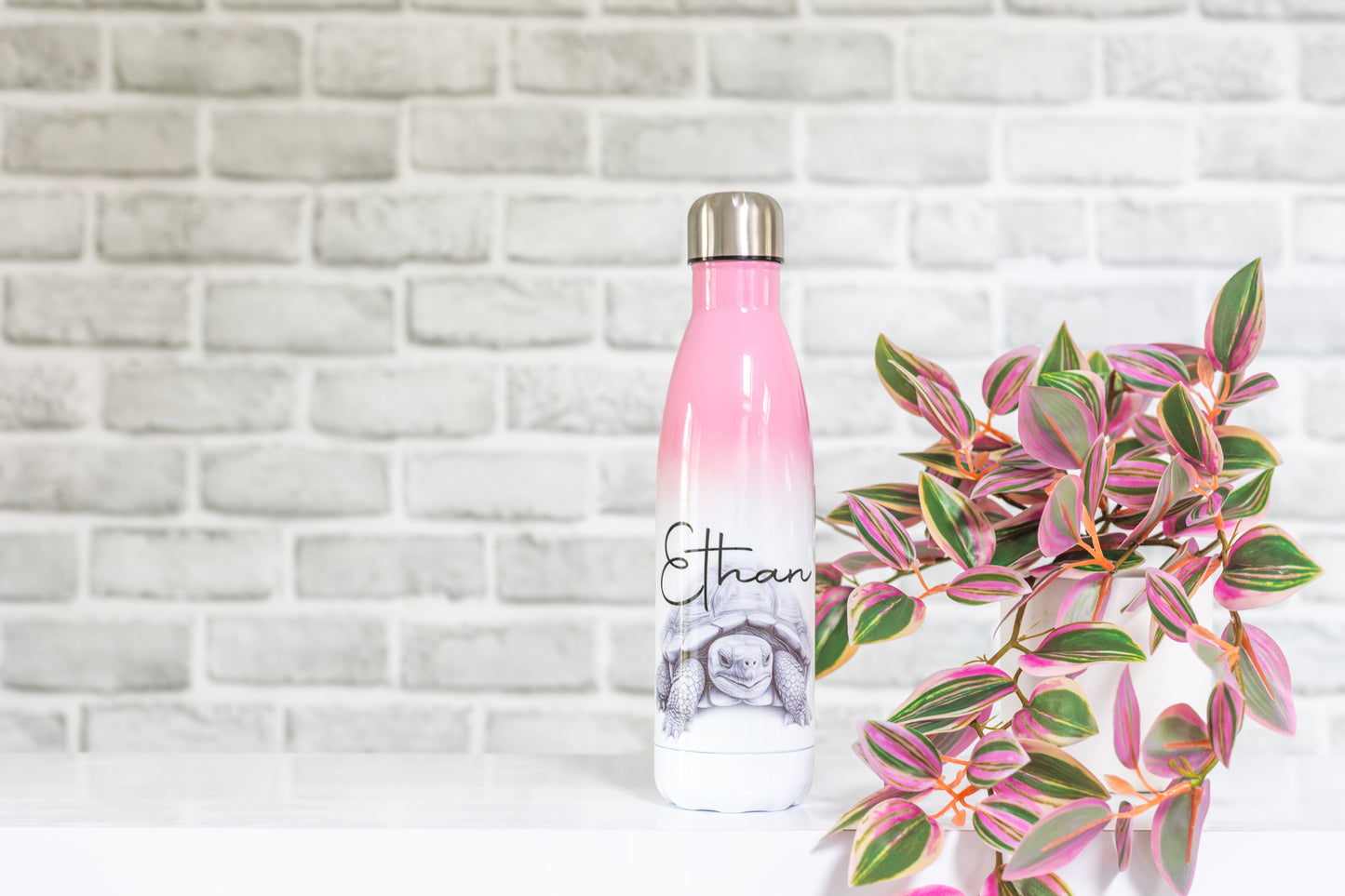 Tortoise Water Bottle l Personalised Tortoise Gift