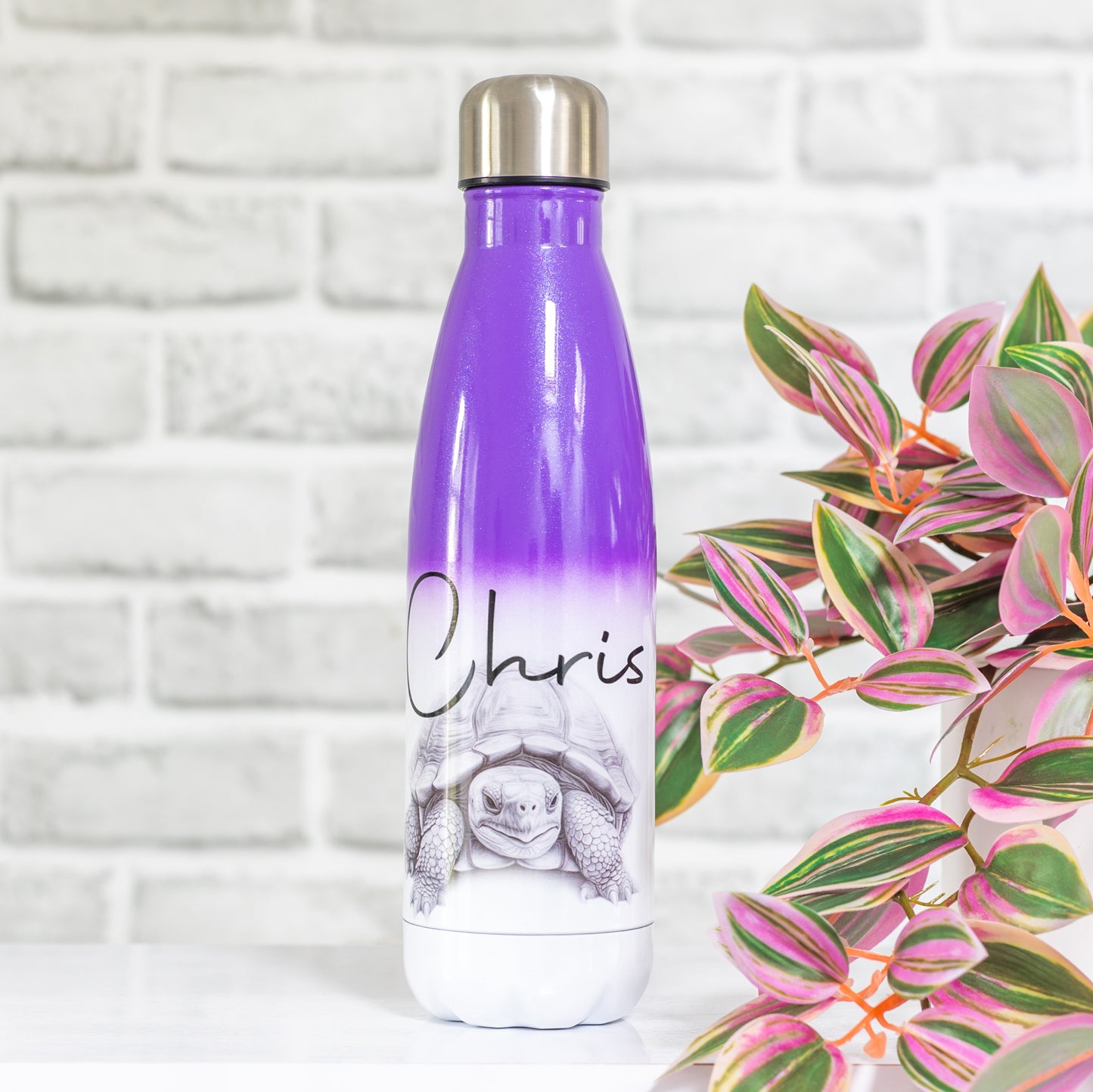 Tortoise Water Bottle l Personalised Tortoise Gift