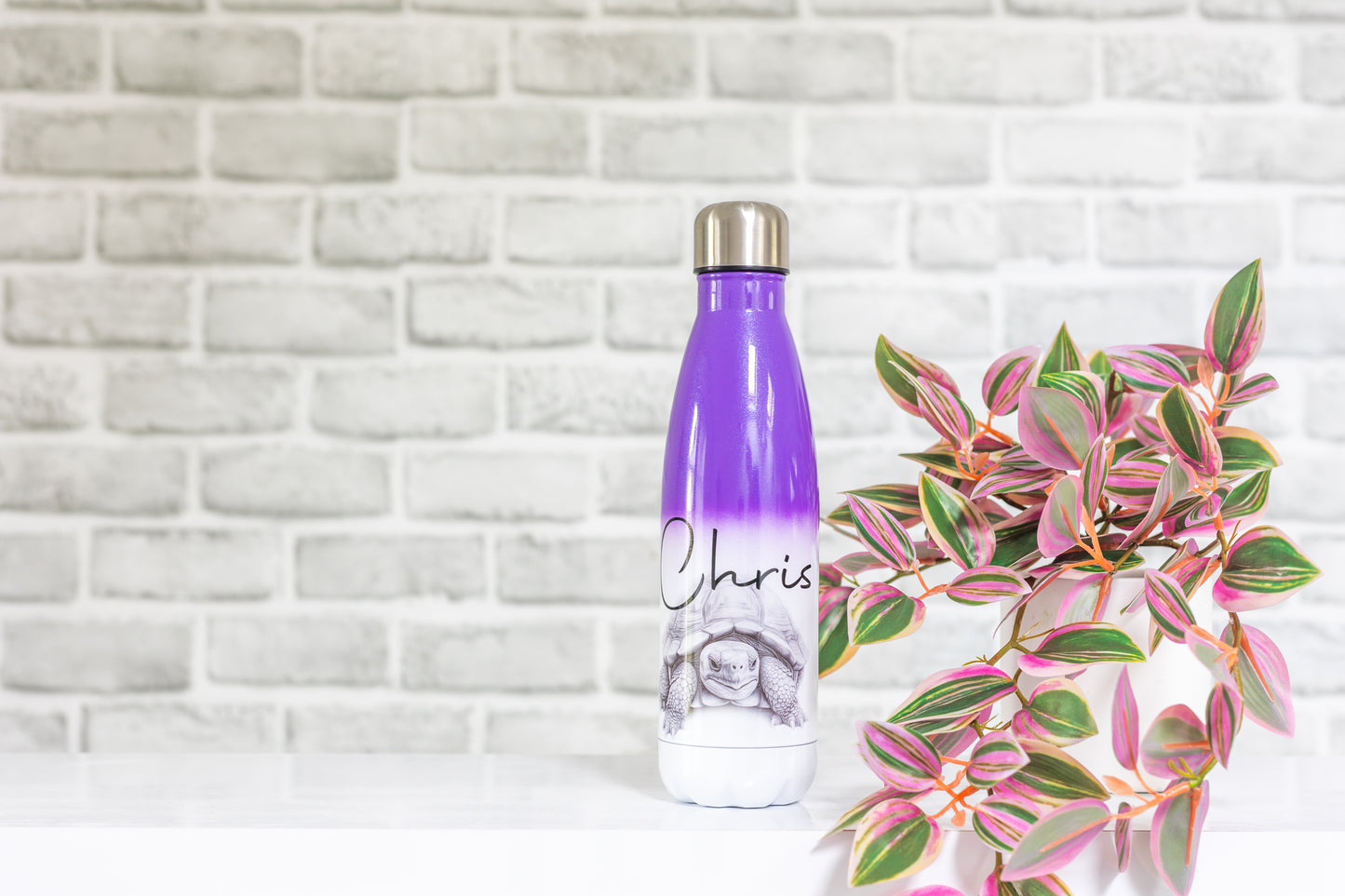 Tortoise Water Bottle l Personalised Tortoise Gift