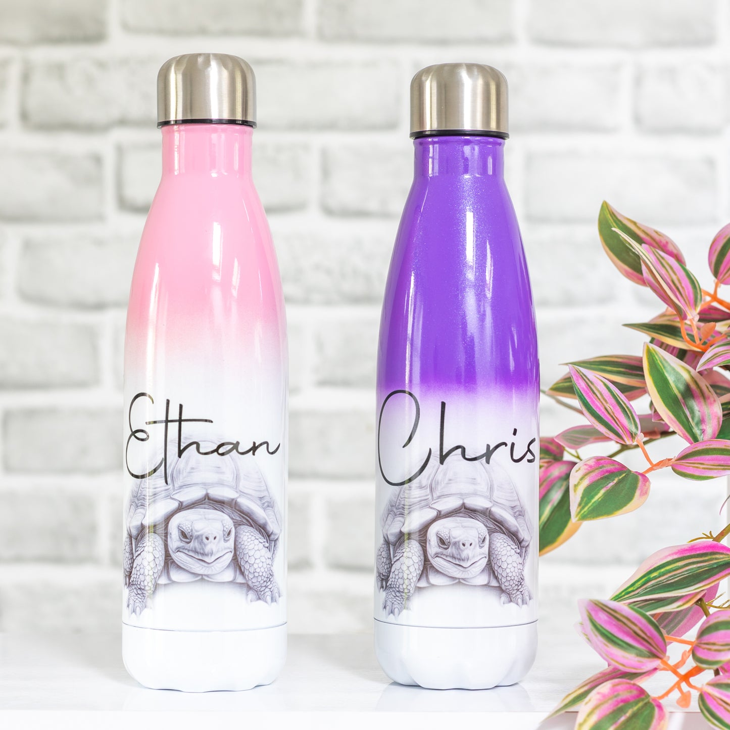 Tortoise Water Bottle l Personalised Tortoise Gift