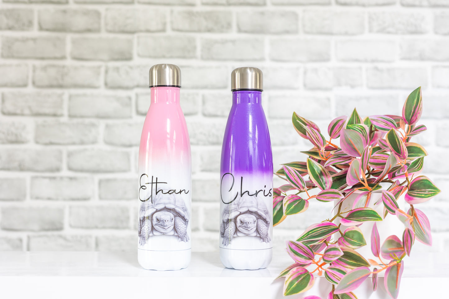 Tortoise Water Bottle l Personalised Tortoise Gift