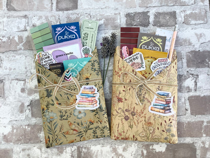 Blind Date with a Book - Surprise Wrapped Booktok